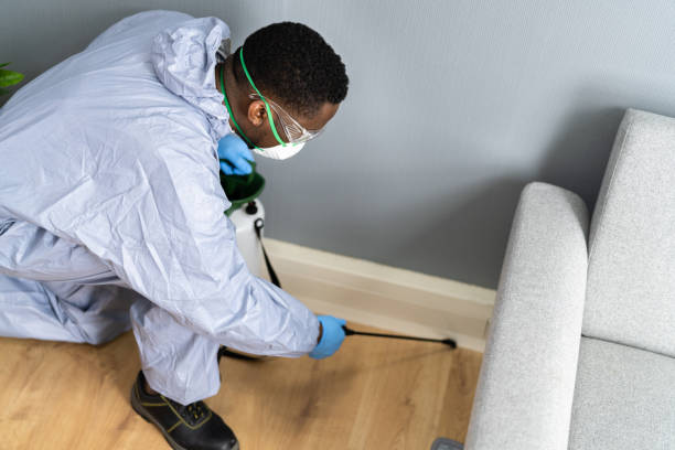 Best Real Estate Pest Inspections  in Callaway, MD